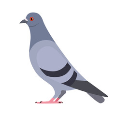 Dove bird symbol icon vector illustration.