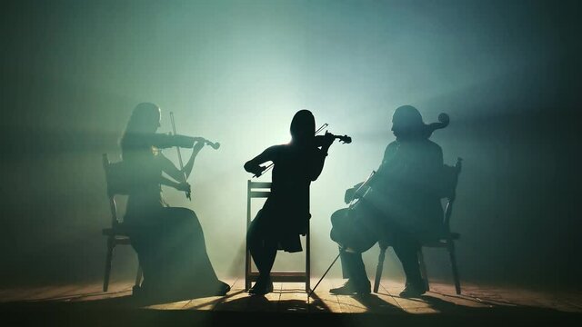 Silhouettes of Musicians Playing the Cello, Violin on the Big Stage of the Concert Hall in the Smoke on a Dark Background in the Beams of the Spotlight