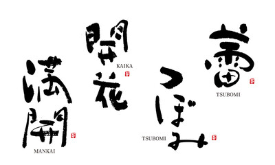 満開　開花　蕾　つぼみ　筆文字 デザイン書道　花の名前シリーズ