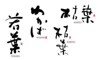 Fototapeta premium 若葉 わかば 枯葉 筆文字 デザイン書道 花の名前シリーズ