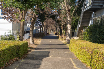 Small pavement between buildings, Japan