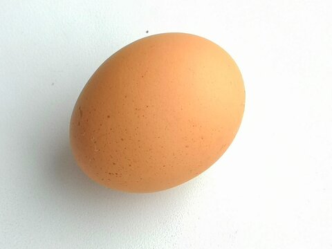 chicken egg round brown egg yolk natural products