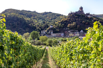 Fototapeta na wymiar Beautiful view of Cochem castle in the German wine region along the Mosel river. The area is full of vineyards, hills and hiking tracks. 