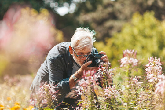 Grandpa takes pictures of flowers outside in sunny weather.