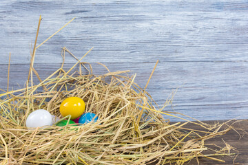 Rabbit Finds Eggs for Easter at Yellow Flower Garden