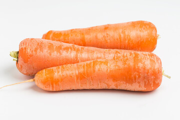 close up three carrots
