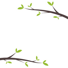 Green leaves frame. Vector illustration of tree branch with green leaves on white background.