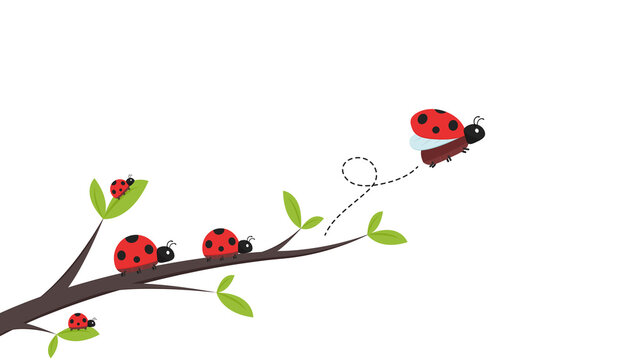 Ladybug vector. ladybug on white background. wallpaper. tree stick vector. Ladybug insects on the branches. 