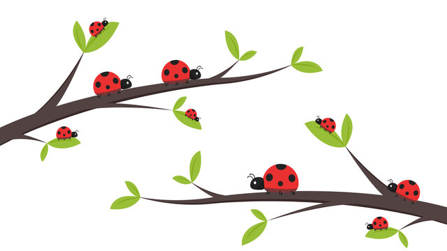 Ladybug vector. ladybug on white background. wallpaper. tree stick vector. Ladybug insects on the branches. 