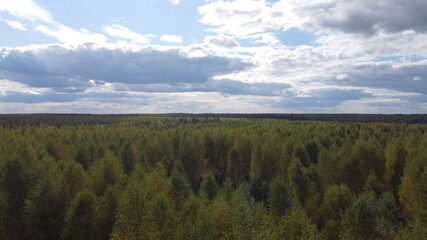 sky and forest view from the copter