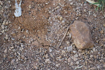 The ground , thailand ,