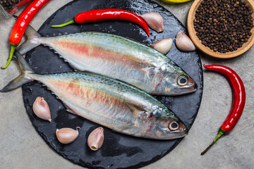 indian mackerel rastrelliger kanagurta (2)