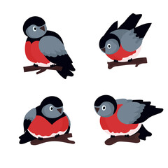 Set of birds in different poses. Bullfinches on tree branches. Vector flat illustration. Isolated on white background