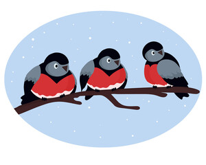Bullfinches. Three birds sitting side by side on a tree branch. Blue sky, it's snowing. Vector flat illustration