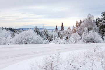 winter road in the snow-covered forest at sunset
