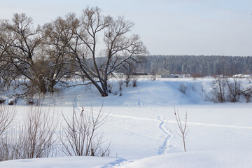 Fototapeta na wymiar View of the snowy river and nature. Winter countryside landscape 