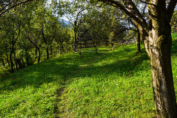 Romanian Countryside , Arges County , Capataneni 