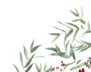 Watercolor composition of eucalyptus and oxalis leaves