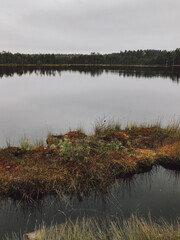 Forest lake in the autumn grey sky