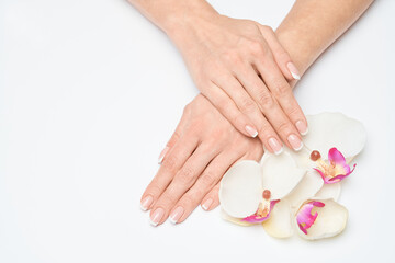 Beautiful Female Hands with French manicure over light grey background
