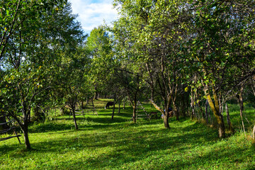 Romanian Countryside , Arges County , Capataneni 