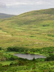 Irish Hills, Pond in the Foreground