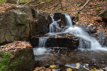 Obraz premium Steinbach im Steinbachtal - Nationalpark Harz Germany