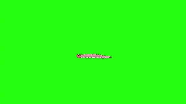 Little worm crawls back and forth (chroma key)