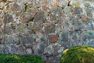Image of an ancient stone wall.