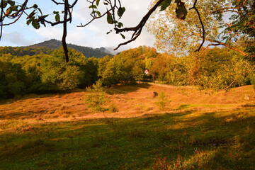 Obraz premium Romanian Countryside , Arges County , Capataneni 