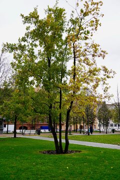 St. Petersburg, Russia - November, 2020 New Holland Open Park in autumn on a cloudy day. Sights of St. Petersburg