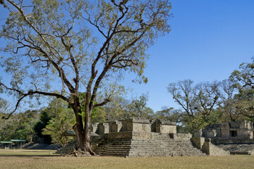 Fototapeta na wymiar Copan, Honduras, Central America: antique sites (temple, pyramid) in Copan. Copan is an archaeological site of the Maya civilization, not far from the border with Guatemala