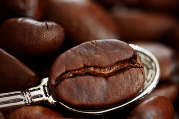 Close-up of one bean coffee in silver spoon, stimulant of energy concept