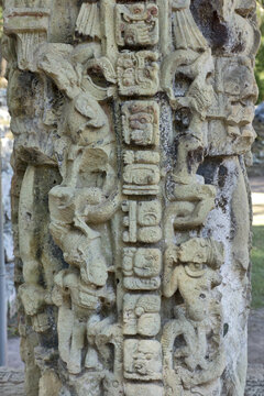 Copan, Honduras,  Central America: mayan hieroglyphs in Quirigua. Copan is an archaeological site of the Maya civilization, not far from the border with Guatemala