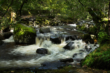 Fototapeta premium Aira Force - Lake District
