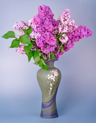lilac vase blue background