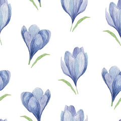 Watercolor pattern crocuses. For decoration of postcards, print, design works, souvenirs, design of fabrics and textiles, packaging design, invitation, wrapping, packaging, print.