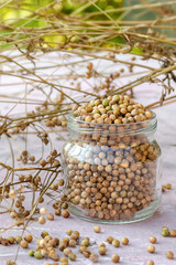 coriander seeds glass jar