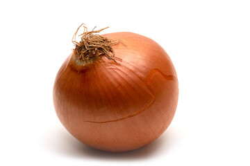 Fresh brown onion on white background