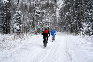 Two bicyclists riding their bikes in very cold winter day in Poland.  Back view. Weekend in a snowy forest. 
