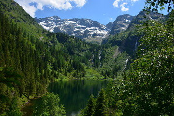 Lake in the mountains surrounded by forest trees