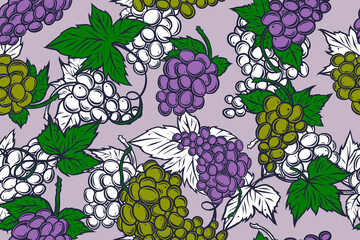 Seamless pattern of grapes, color, vector