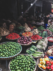 Hanoi, Vietnam, January 30, 2020 - View on a seller in the middle of a large assortment of row loose vegetables and fruits for sale in a street. Short circuit production