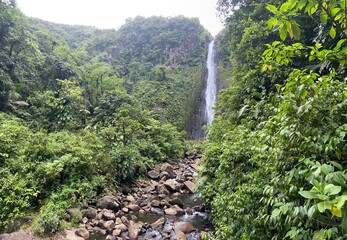 waterfall in the jungle