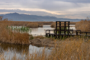 View of the observatory of the natural reserve of plants and birds La Marjal els Moros in the town of Puzol in Spain