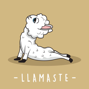 Llama Yoga Cartoon Llamaste Alpaca Bhujangasana Pose