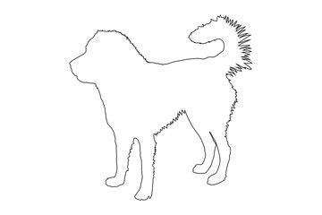 Silhouette of a thoroughbred Caucasian Shepherd dog. Vector stock illustration eps 10, outline.