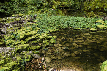 Still water and stones covered by moss at Nans-sous-sainte-Anne, Pit cave 
