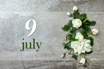 July 9th. Day 9 of month, Calendar date. Stylish roses flat lay. White roses border on pastel grey...