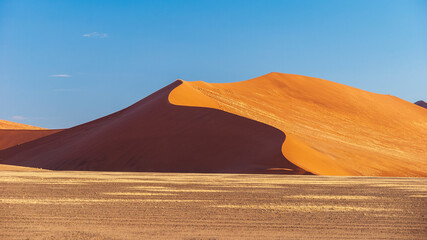 sand dunes in the desert